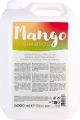 Dusy Mango Shampoo 5000ml