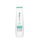 Matrix Biology Clarifying Shampoo 250ml