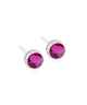 Blomdahl Örhänge M.P Bezel Fuchsia 6MM ( B )