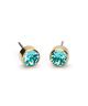 Blomdahl Örhänge G.T Bezel Turquoise 6mm ( D )