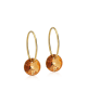 Blomdahl Örhänge G.T Ear Ring 14mm Round Bronze 8mm ( D )