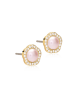 Blomdahl G.T Brilliance Fancy Pearl Crystal / Light Rose 8mm ( M )