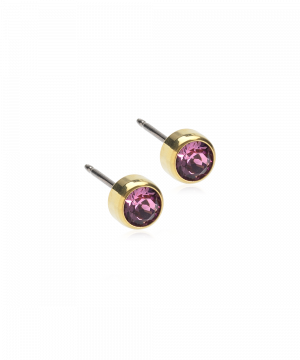 Blomdahl Örhänge G.T Bezel Lilac 5mm ( C ) 
