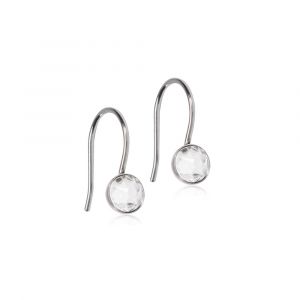 Blomdahl Örhänge N.T Pendant Bezel Crystal 5mm ( G ) 